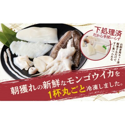 丸ごとモンゴウイカ