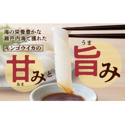 丸ごとモンゴウイカ