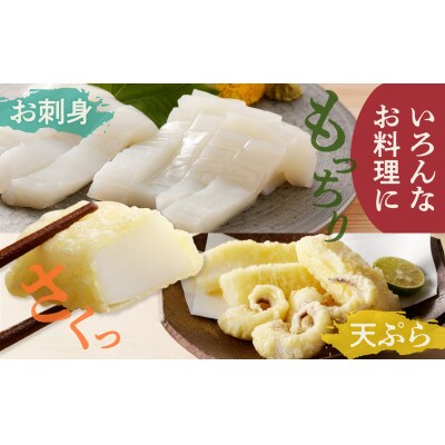 丸ごとモンゴウイカ