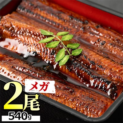 東串良町のうなぎ蒲焼(無頭) 2尾 計約540g・タレ、山椒付【0194305a】