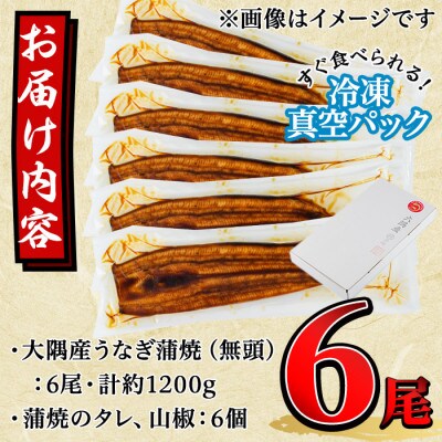 鹿児島県東串良町 うなぎ蒲焼(無頭) 6尾 計約1200g、蒲焼のタレ・山椒6個付【43940】