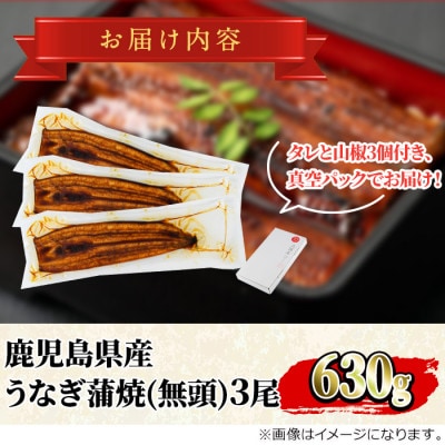 東串良町のうなぎ蒲焼(無頭) 3尾　計約630g・タレ、山椒付【0234303a】