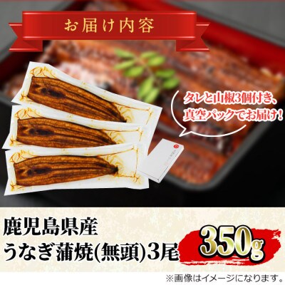 東串良町のうなぎの蒲焼(無頭)3尾　計約350g・タレ、山椒付【0154301a】