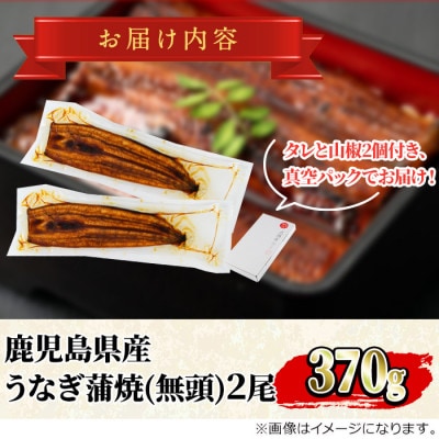 東串良町のうなぎの蒲焼(無頭)2尾　計約370g・タレ、山椒付【0154302a】