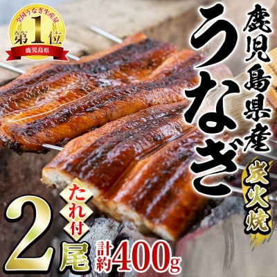 東串良町のうなぎ炭火蒲焼(無頭)(2尾・計約400g・タレ、山椒付)【0224308a】
