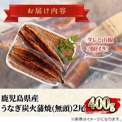東串良町のうなぎ炭火蒲焼(無頭)(2尾・計約400g・タレ、山椒付)【0224308a】