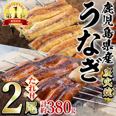 東串良町のうなぎ炭火蒲焼、白焼(無頭)(2尾・計約380g・タレ、山椒付)【0224310a】