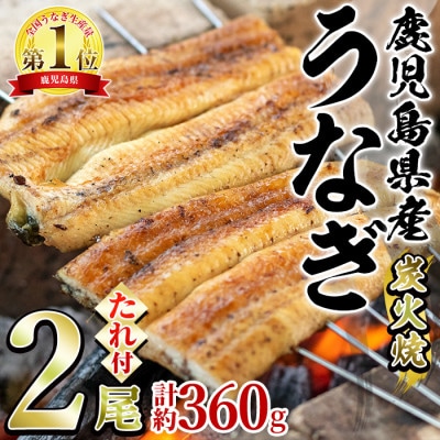 東串良町のうなぎ炭火白焼(無頭)(2尾・計約360g・タレ、山椒付)【0224309a】