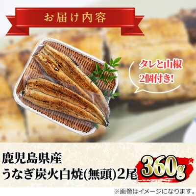東串良町のうなぎ炭火白焼(無頭)(2尾・計約360g・タレ、山椒付)【0224309a】