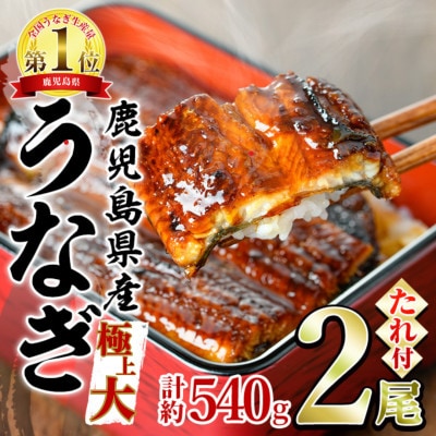 東串良町のうなぎ蒲焼(無頭)《極上 大》(2尾・計約540g)【アクアおおすみ】【0194305a】