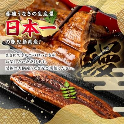 東串良町のうなぎ蒲焼(無頭)《極上 大》(2尾・計約540g)【アクアおおすみ】【0194305a】