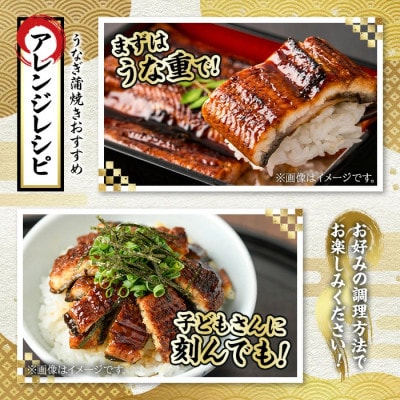 東串良町のうなぎ蒲焼(無頭)《極上 大》(2尾・計約540g)【アクアおおすみ】【0194305a】
