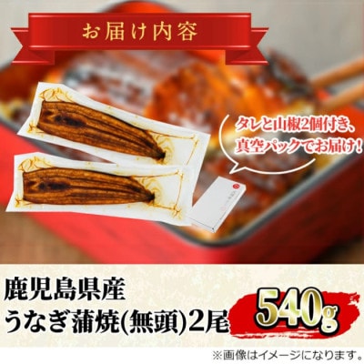 東串良町のうなぎ蒲焼(無頭)《極上 大》(2尾・計約540g)【アクアおおすみ】【0194305a】