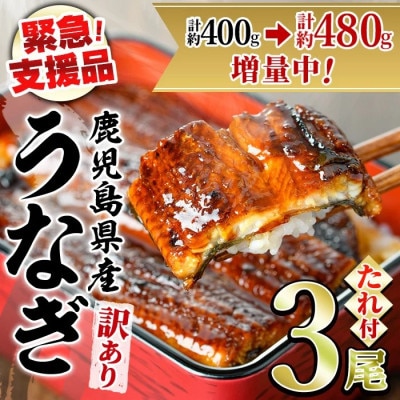 【緊急支援品】《訳あり・数量限定》鰻の蒲焼き(無頭)(3尾・計約480g) 【アクアおおすみ】