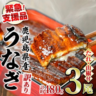 【緊急支援品】《訳あり・数量限定》鰻の蒲焼き(無頭)(3尾・計約480g) 【アクアおおすみ】