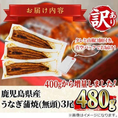【緊急支援品】《訳あり・数量限定》鰻の蒲焼き(無頭)(3尾・計約480g) 【アクアおおすみ】