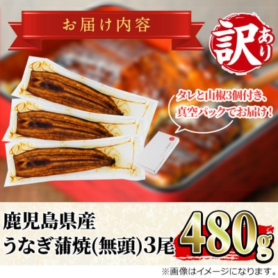 【緊急支援品】《訳あり・数量限定》鰻の蒲焼き(無頭)(3尾・計約480g) 【アクアおおすみ】