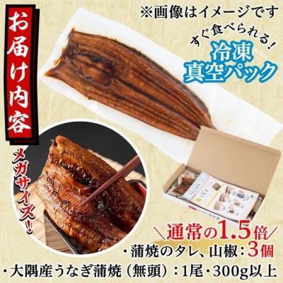 東串良町のうなぎ蒲焼(無頭) 【メガサイズ】 1尾・300g以上 タレ山椒×3個【0104312a】