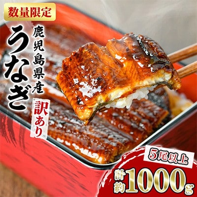 《訳あり》 数量限定! 東串良町のうなぎ蒲焼 (無頭) (計約1kg・5尾以上)【アクアおおすみ】