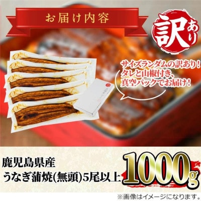 《訳あり》 数量限定! 東串良町のうなぎ蒲焼 (無頭) (計約1kg・5尾以上)【アクアおおすみ】
