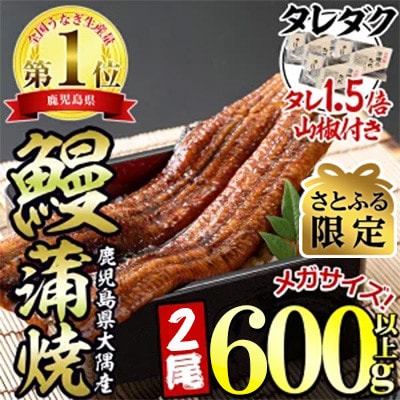 【さとふる限定】東串良町のうなぎ蒲焼(無頭)【メガサイズ】2尾・約600g・タレ、山椒×6個