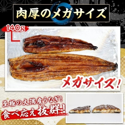 【さとふる限定】東串良町のうなぎ蒲焼(無頭)【メガサイズ】2尾・約600g・タレ、山椒×6個