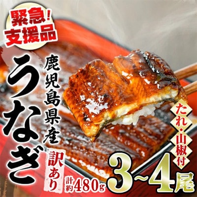 【緊急支援品】《訳あり・数量限定》鰻の蒲焼き(無頭)(3～4尾・計約480g) 【アクアおおすみ】