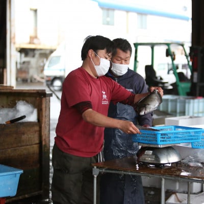 鹿児島県東串良町　『朝獲れ発送!大隅半島の鮮魚おためしBOX』　2～3kg程度【10828】