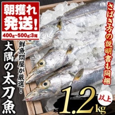 鹿児島県東串良町 『朝獲れ発送!大隅半島の太刀魚』3尾・総量1.2kg以上【15830】