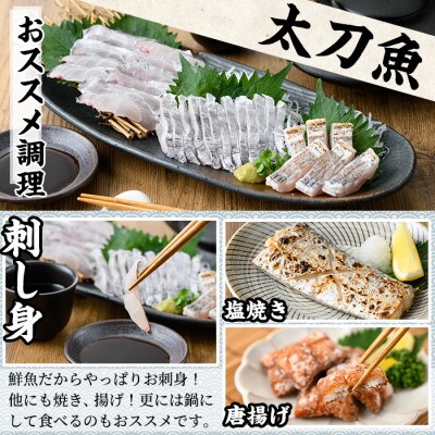 鮮度が命!鮮魚問屋が厳選『鮮魚たちうおビッグサイズBOX』(1尾・約1kg以上)【0223204a】