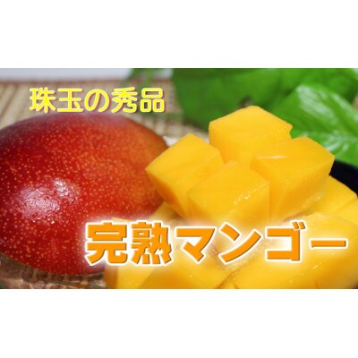 南国鹿児島県産の太陽の恵み!完熟マンゴー(計1kg以上・2～3個入り)(東串良町)