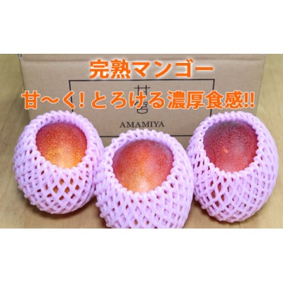 南国鹿児島県産の太陽の恵み!完熟マンゴー(計1kg以上・2～3個入り)(東串良町)