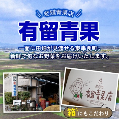 自慢の農家×老舗青果店のパッションフルーツ(12個～15個)【有留青果】【0103604a】