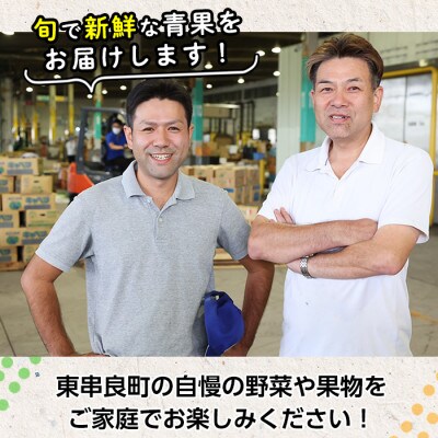 自慢の農家×老舗青果店のパッションフルーツ(12個～15個)【有留青果】【0103604a】