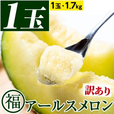 【訳あり】マル福の高級アールスメロン(1玉・1.7kg)【0111109a】