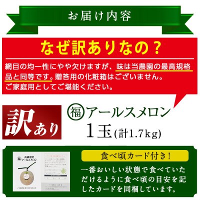 【訳あり】マル福の高級アールスメロン(1玉・1.7kg)【0111109a】