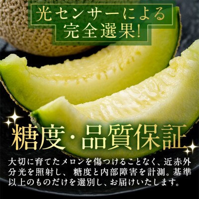 【訳あり】マル福の高級アールスメロン(1玉・1.7kg)【0111109a】