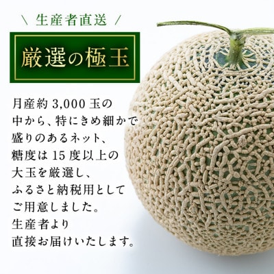 【厳選極み】マル福の高級アールスメロン(大玉2玉・計3.4kg以上)【0271104a】
