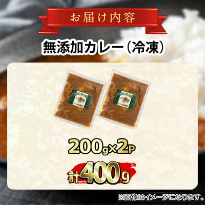 鹿児島黒豚 無添加 カレー 計400g(200g×2P)【鹿児島ますや】【0075132a】