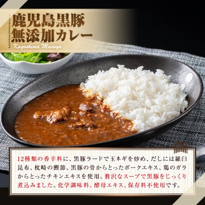 鹿児島黒豚 無添加 カレー 計1kg(200g×5P)【鹿児島ますや】【0135113a】