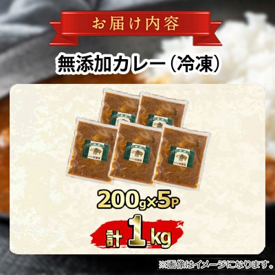 鹿児島黒豚 無添加 カレー 計1kg(200g×5P)【鹿児島ますや】【0135113a】