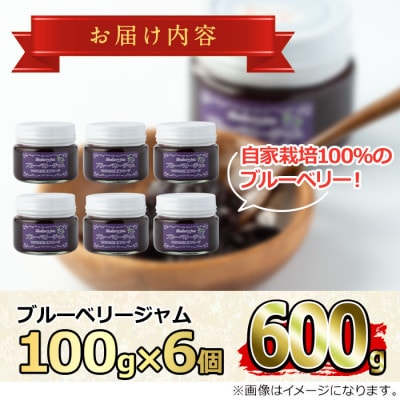 贅沢な国産ブルーベリージャム(100g×6個・計600g)【村山製油】【12161】