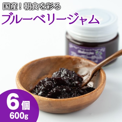 贅沢な国産ブルーベリージャム(100g×6個・計600g)【村山製油】【12161】