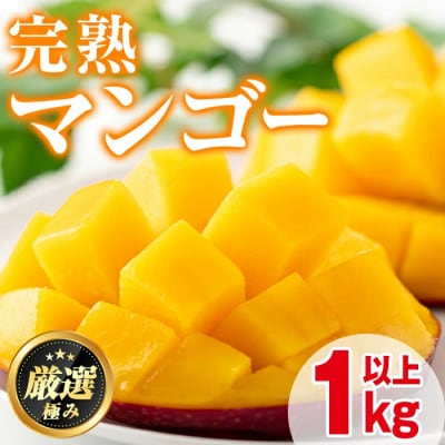 《数量限定》南国鹿児島県産 太陽の恵み 完熟 マンゴー (計1kg以上2～3個)【0145910a】