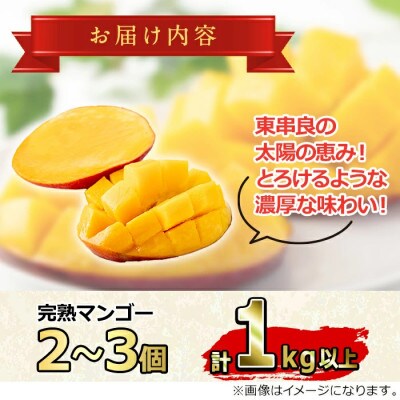 《数量限定》南国鹿児島県産 太陽の恵み 完熟 マンゴー (計1kg以上2～3個)【0145910a】