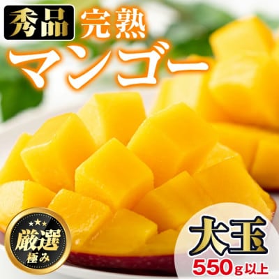 《秀品・数量限定》南国鹿児島県産 太陽の恵み 完熟 マンゴー (大玉1個・550g以上)