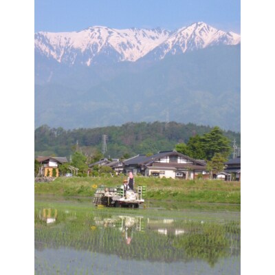 まごころ米　精米　10kg