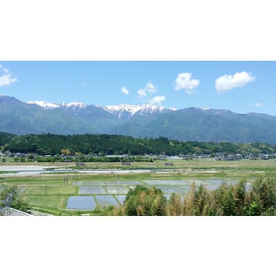 【信州駒ヶ根産】コシヒカリ 5kg(精米)