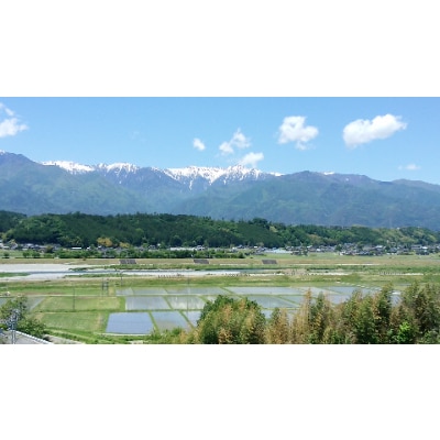 【信州駒ヶ根産】コシヒカリ　10kg(精米)