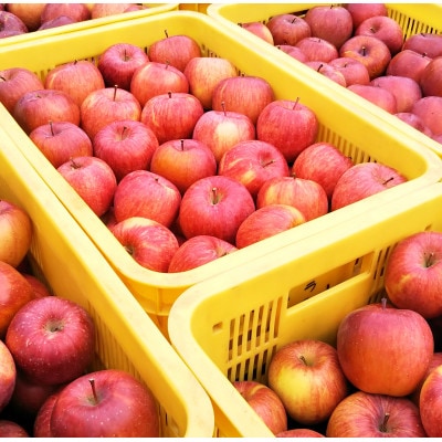 北垣外 瀧澤農園　完熟・葉とらず「サンふじ」3Kg(7～11玉入り)